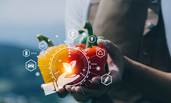 Gıda Katkı Maddelerinde Kalite ve Güvenlik Standartları