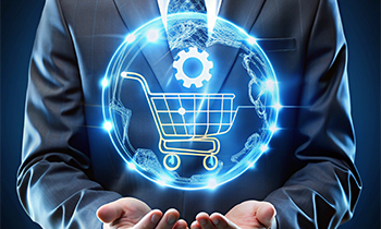 Danışmanlık ve Ürün Desteği